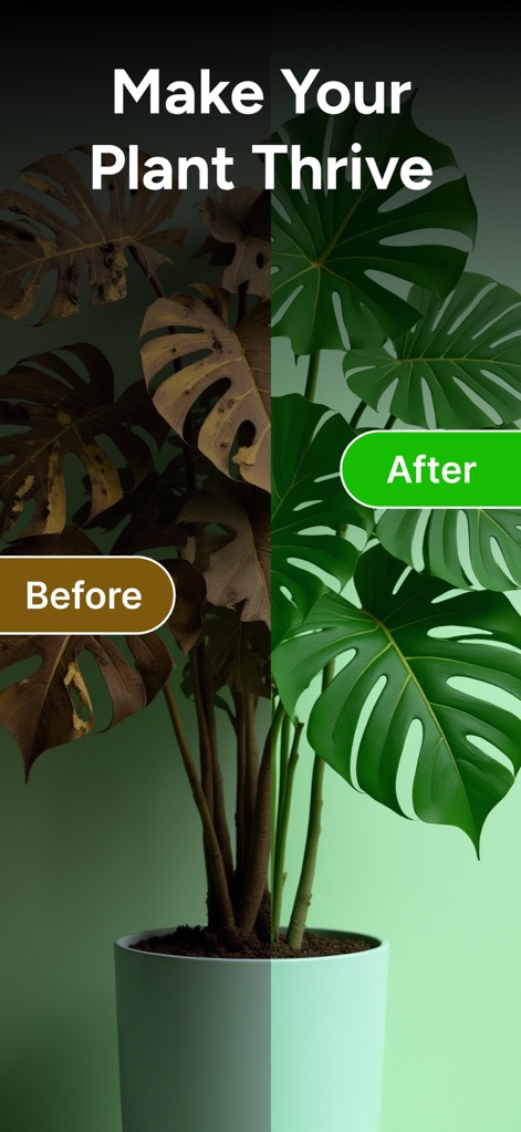 PlantCheck: Plant Identifier - See how PlantCheck: Plant Identifier transforms unhealthy plants from 'Before' to a vibrant 'After', showcasing its revitalizing power.