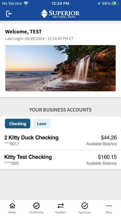 SNB Business Banking Screenshot