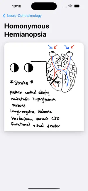 Neurology Frameworks screenshot 2