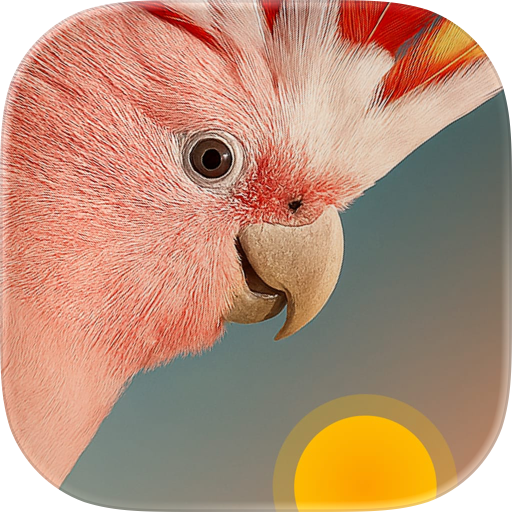 Bird Rise: Birdsong Alarm