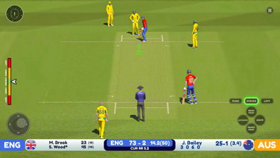 World Cricket Odi Wcc 2024 Screenshot