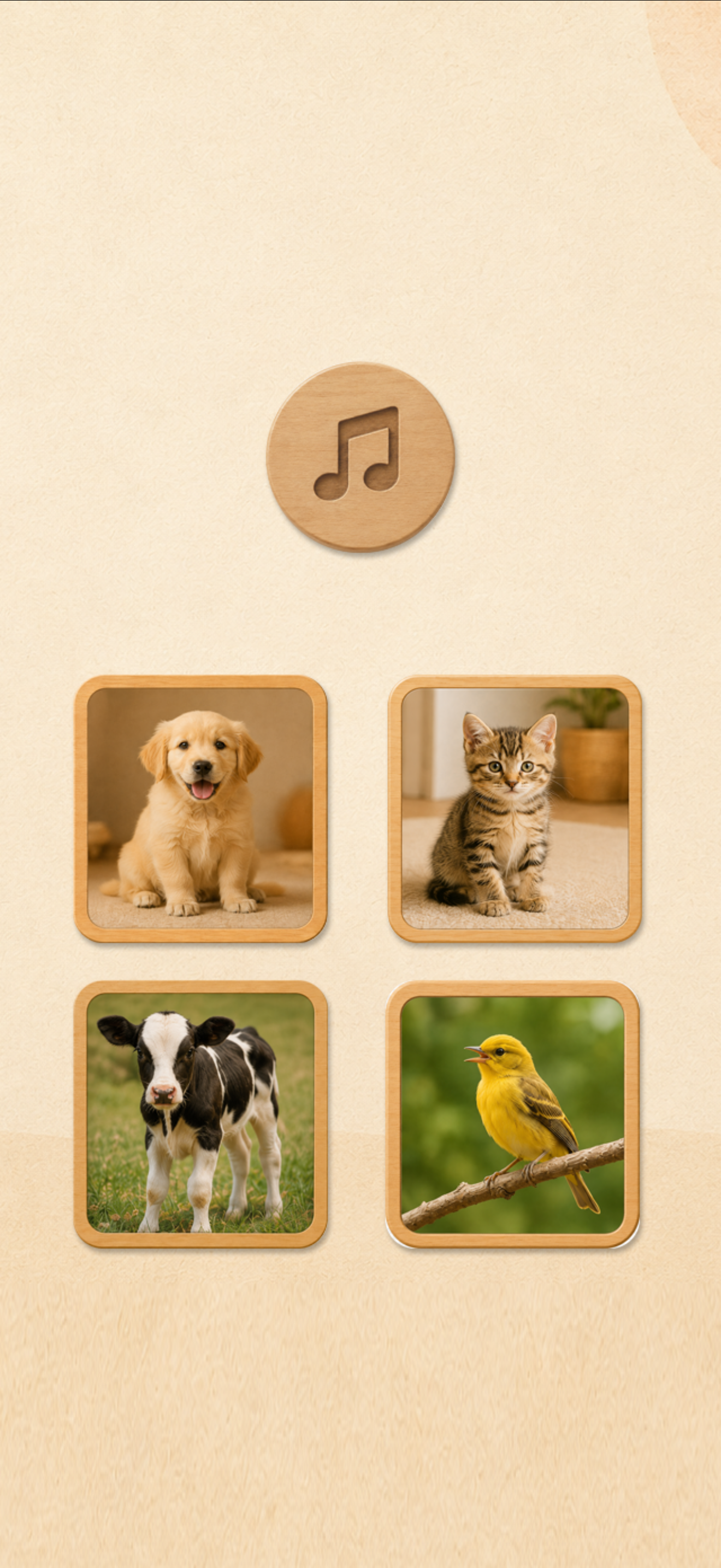 Montessori Learning Activities