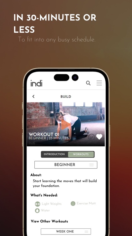 Indi - Workout with Experts