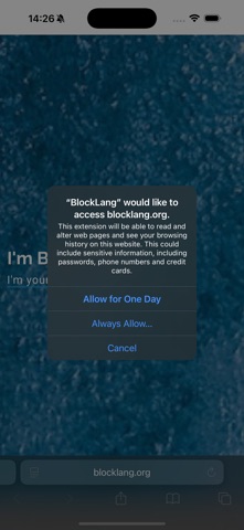 BlockLang screenshot