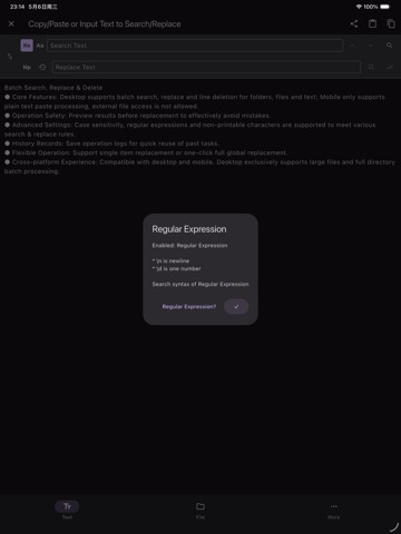 SearchReplacePro2 iPad screenshot