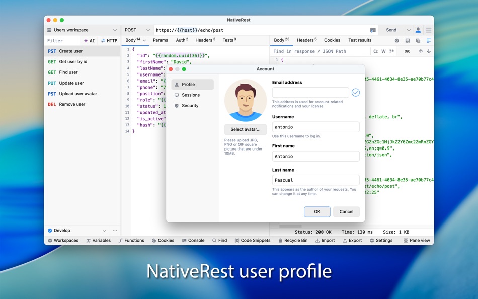 #9. NativeRest (macOS) di: NativeSoft, LLC