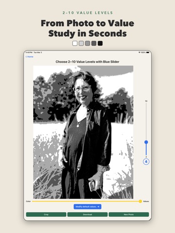 Value Study Assistant iPad screenshot