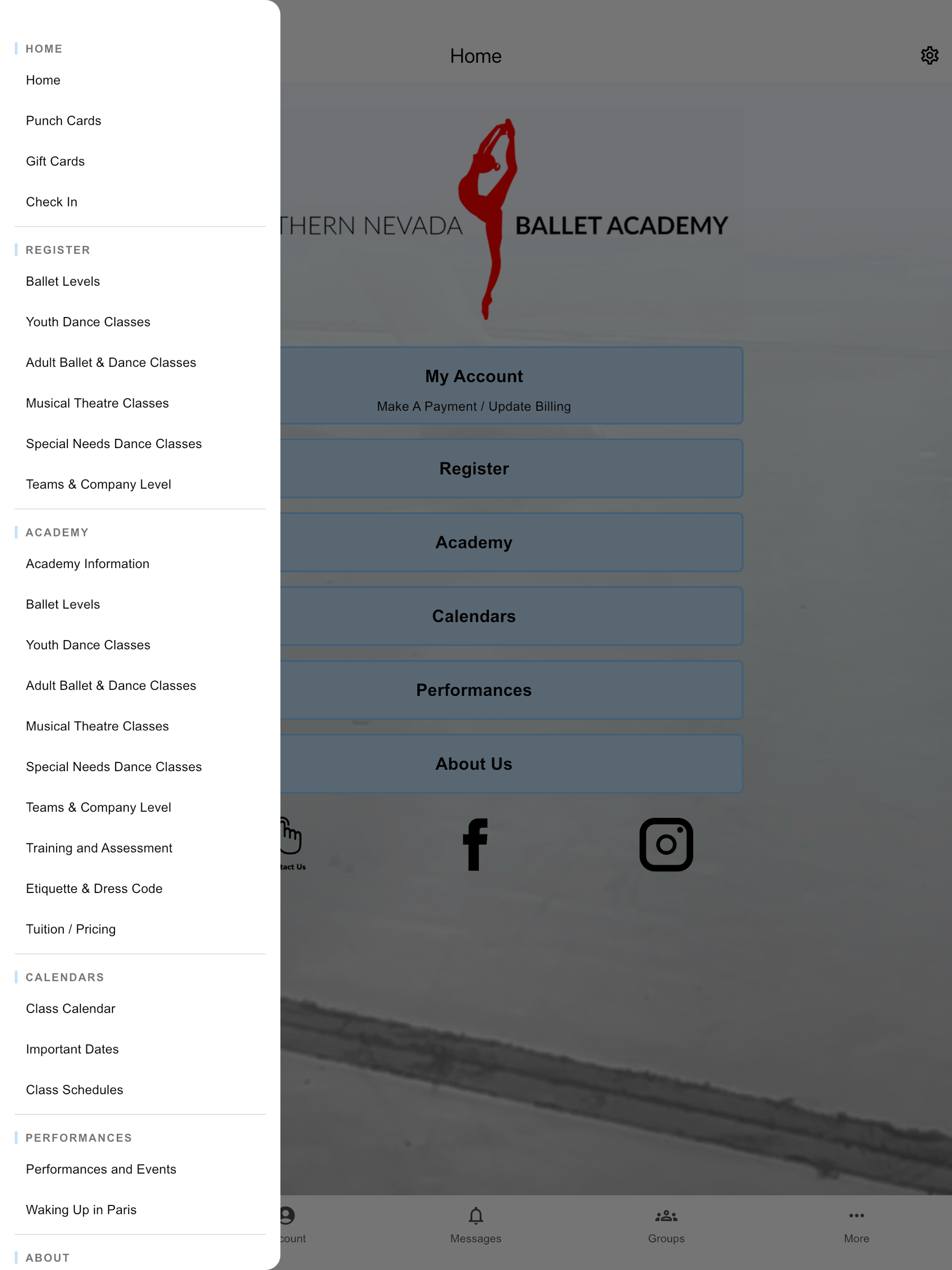 Northern Nevada Ballet Academy screenshot 9
