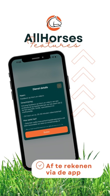 AllHorses screenshot-4