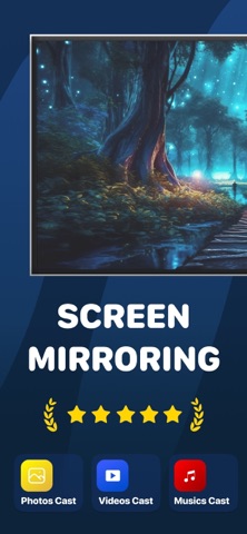 Miracast Screen Mirroring‌ iPhone screenshot