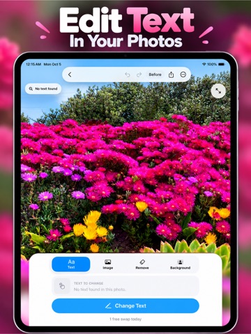 Edit Text on Photo: Forgeit iPad screenshot 2