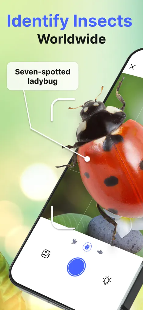 Bug Identifier Insect Finder - Utilities App | MWM