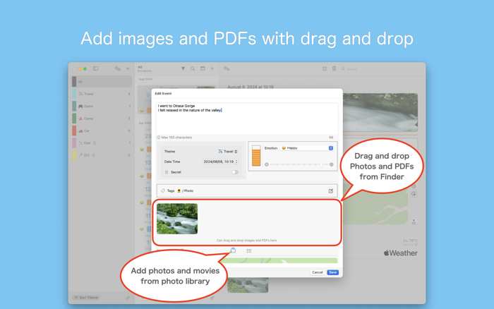 First diary, Theme Diary