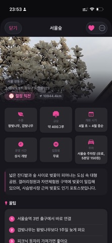 MyBloom - Cherry Blossom Map iPhone screenshot