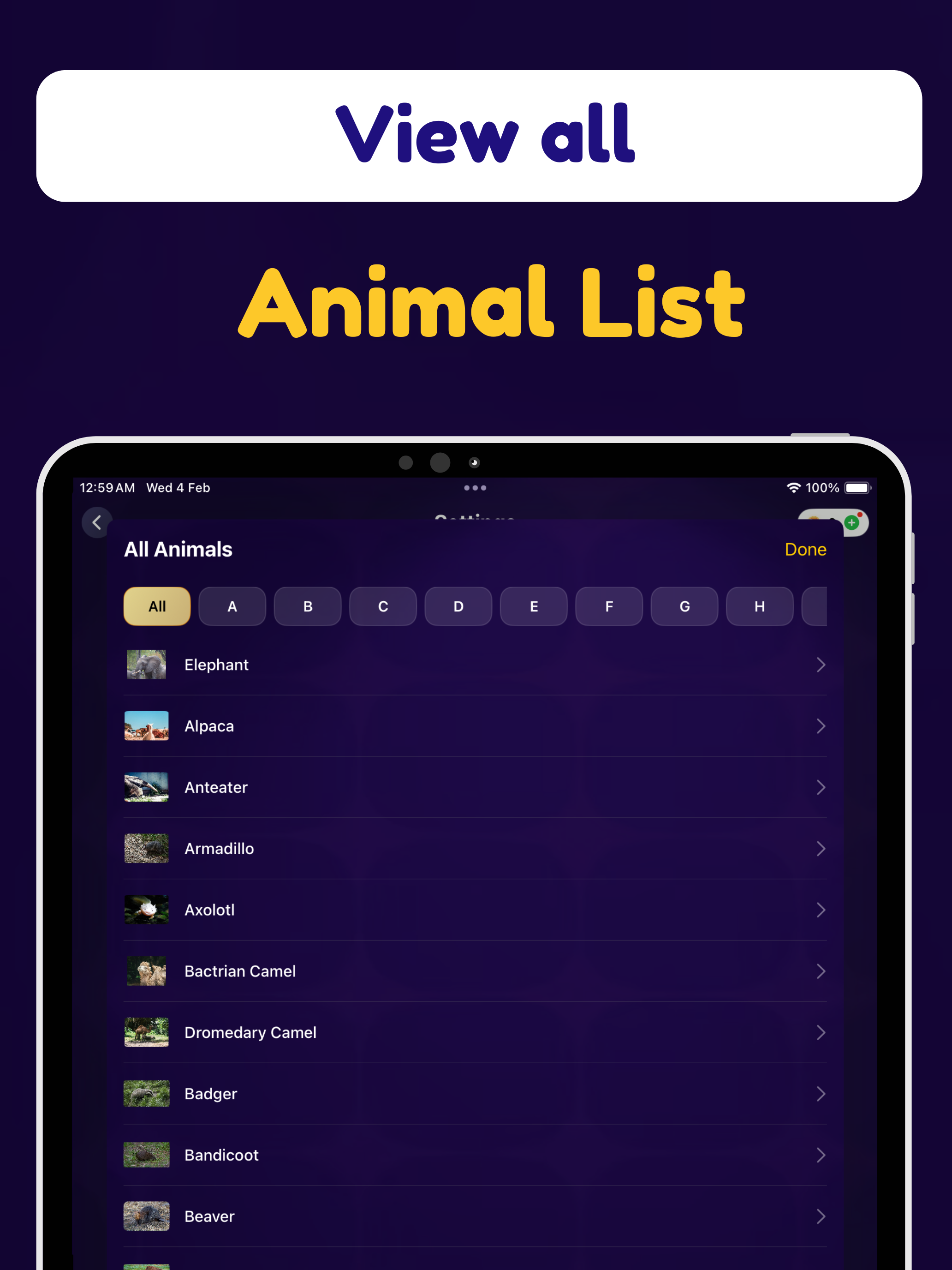 Guess the animal : abc Animals