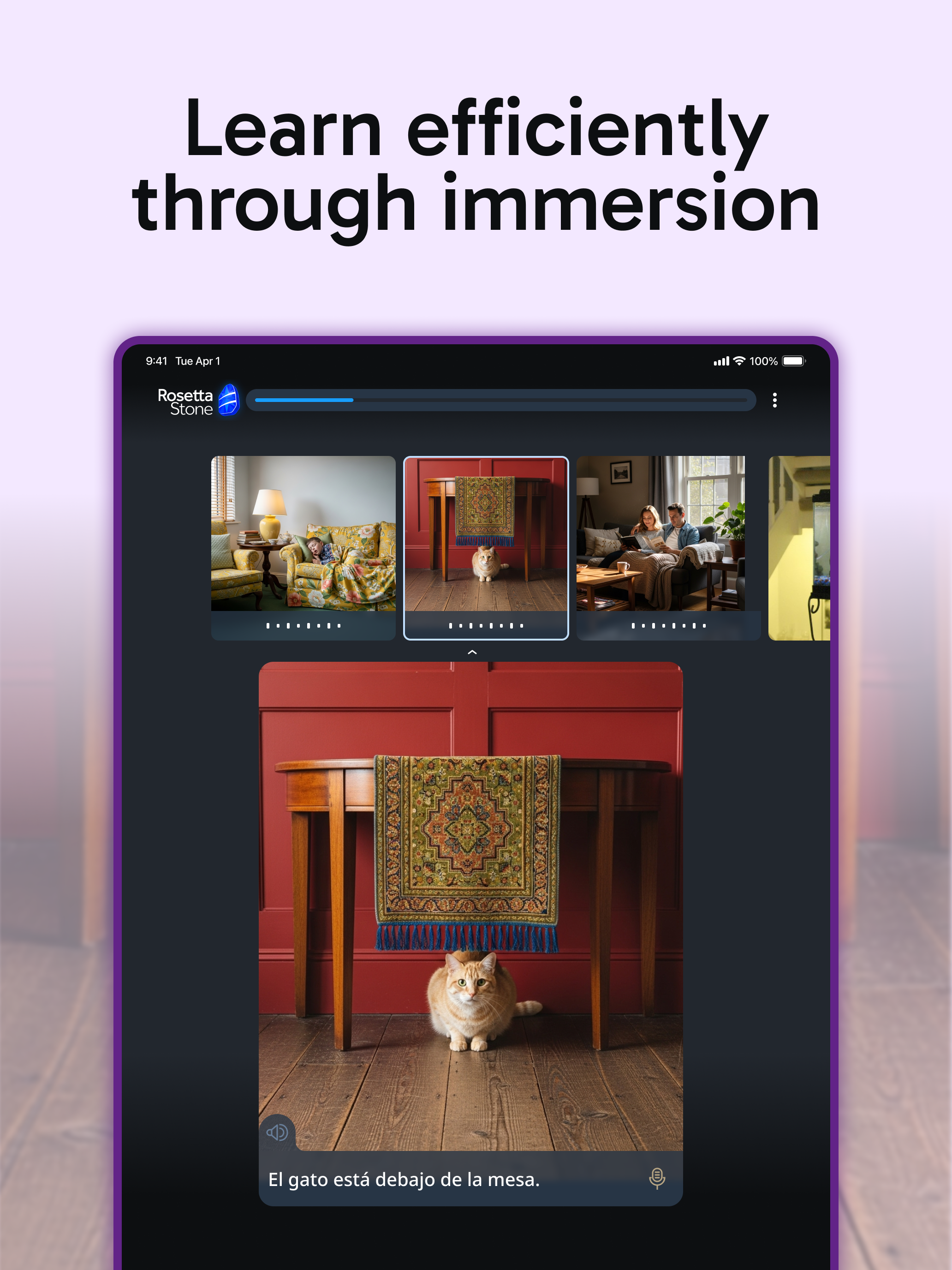 Rosetta Stone Sapphire screenshot 11