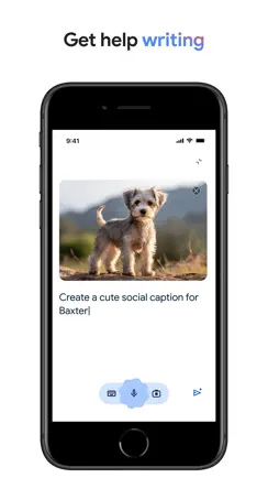 Google iPhone image 4