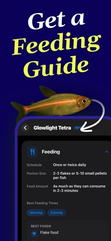 Fish Identifier: Finder & Care Screenshot 8 of 9
