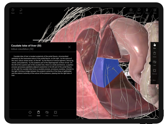 Pirogov Anatomy iPad screenshot 4 - Medical app