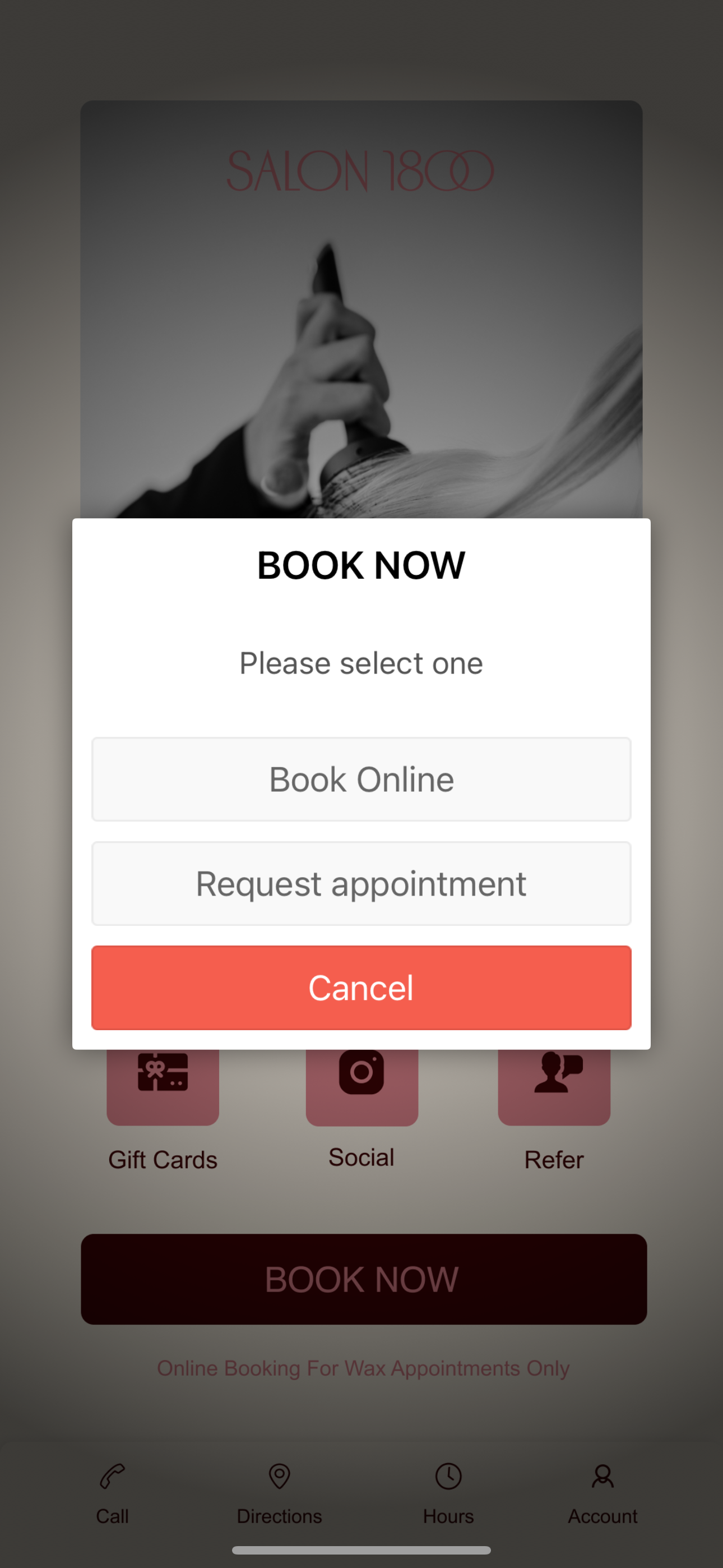 Salon 1800 screenshot 5