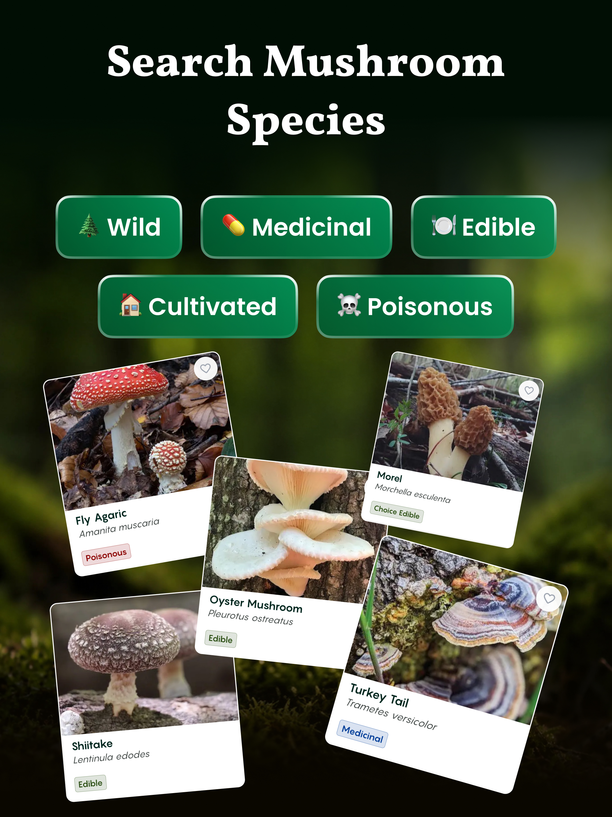 Identify Mushroom By Picture screenshot 14