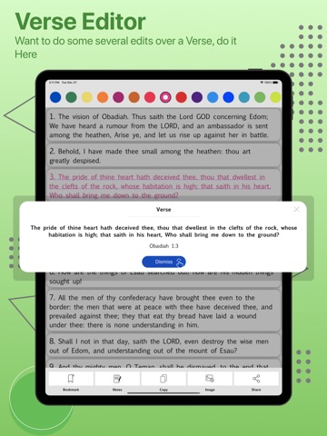 Alkitab - Indonesian Bible iPad screenshot
