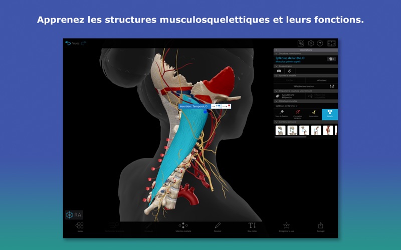 Screenshot #3 pour Atlas d'anatomie humaine en 3D