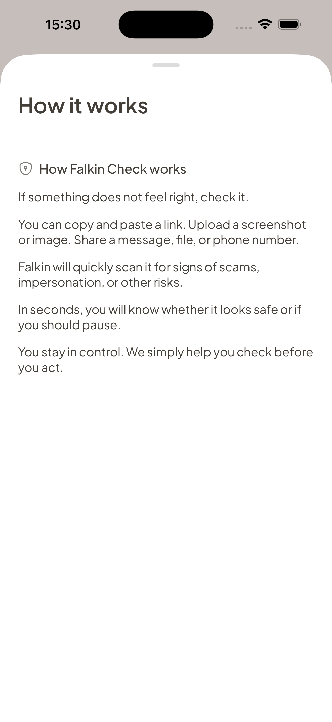 Falkin Shield screenshot 3