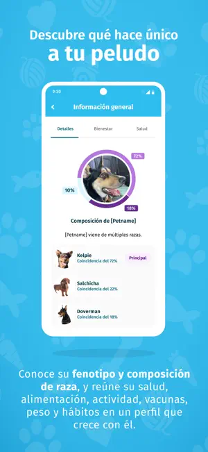 BePetz screenshot 3