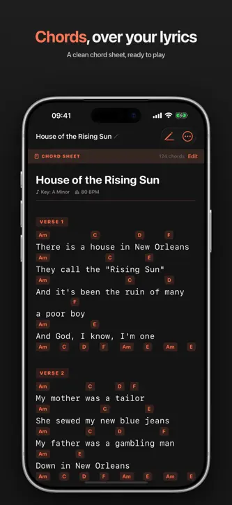 Songwriter Studio: For Lyrics screenshot 4