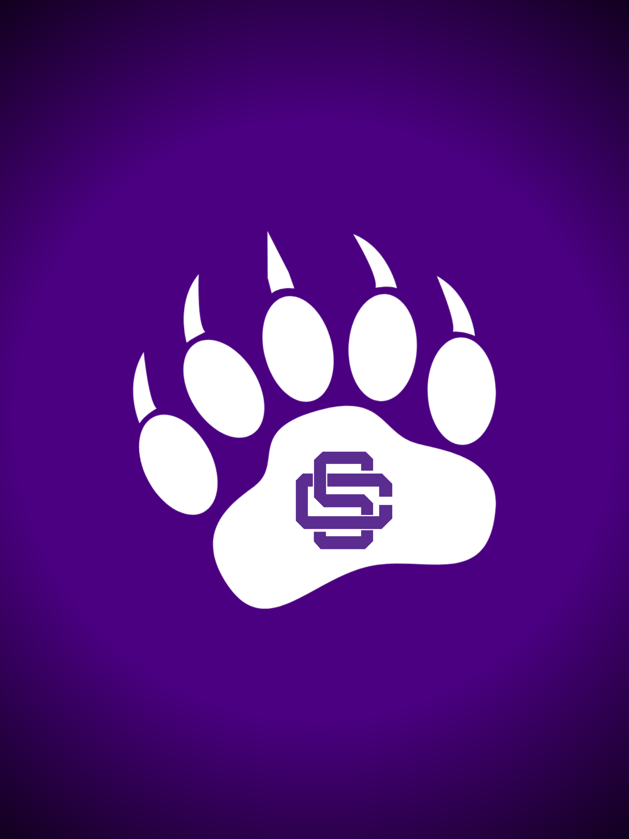 Sevier County Smoky Bears