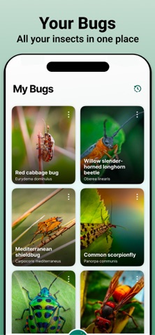 iBug: Insect & Bug Identifier Screenshot 5 of 8