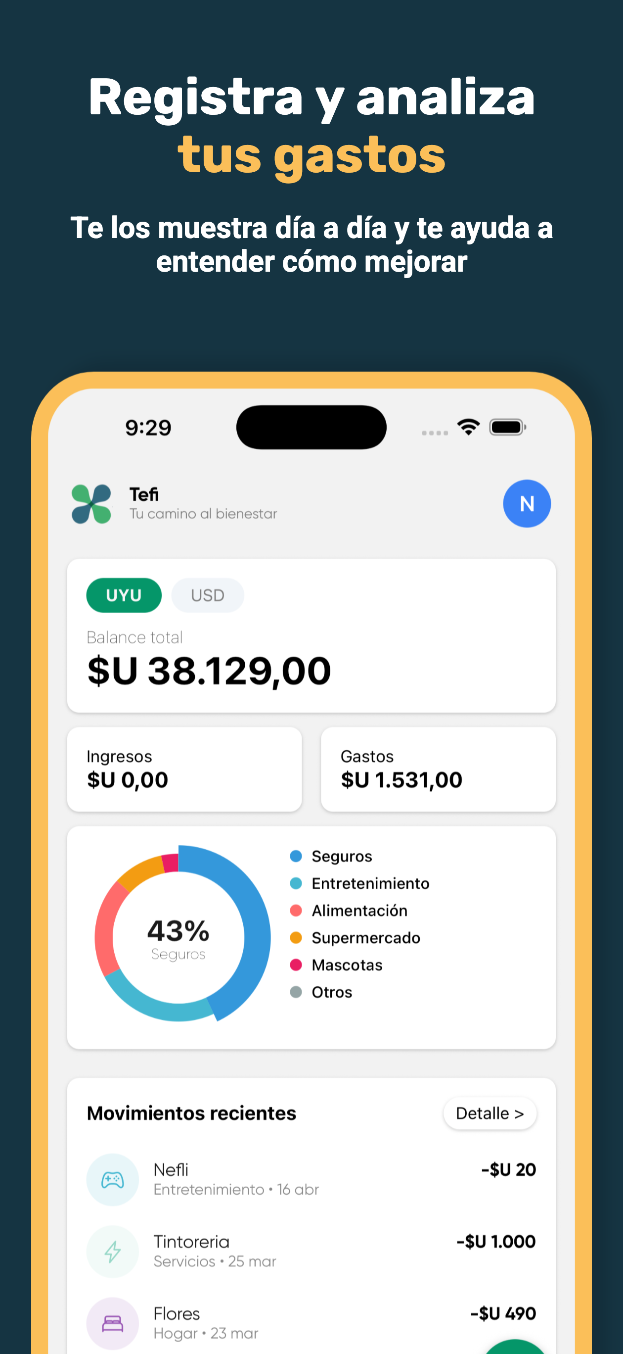 Tefi - Terapia Financiera