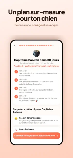 Palio: Scanner Race de Chien screenshot 4