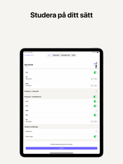 Förstudie screenshot 8