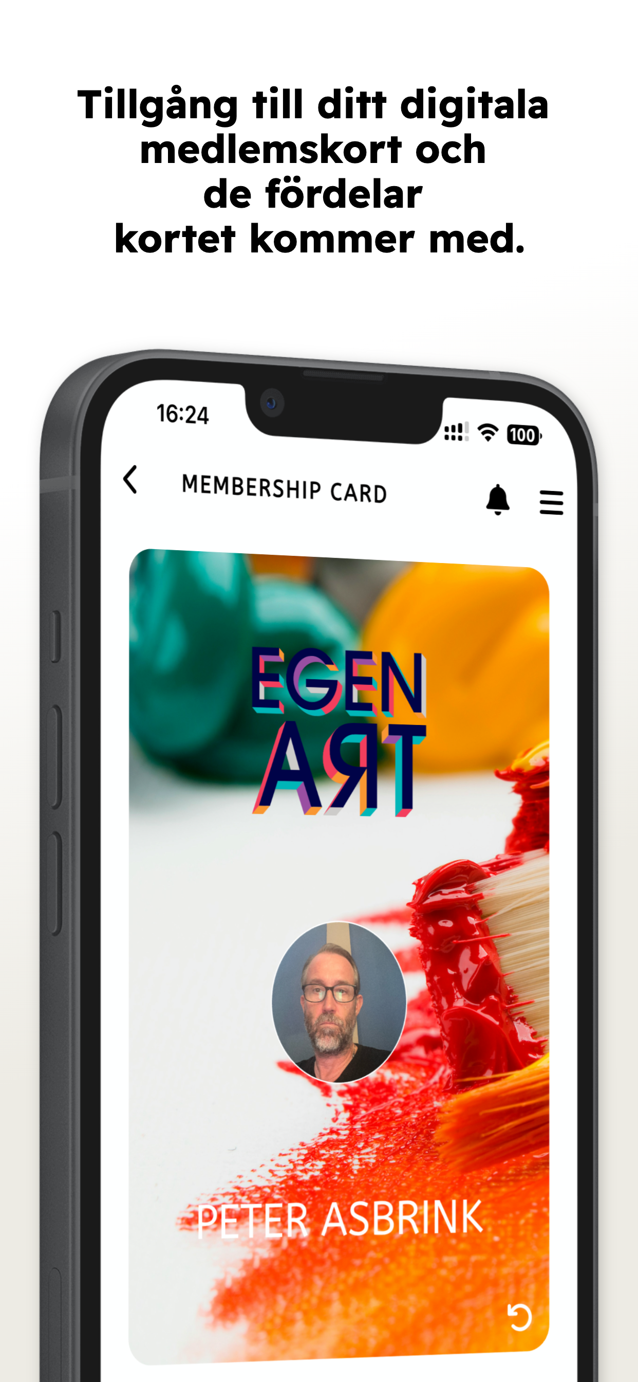 Egenart screenshot 4