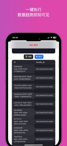 XAISQL screenshot