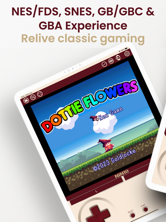 NiN10: Nintendo Emulator iPad screenshot 1 - Entertainment app