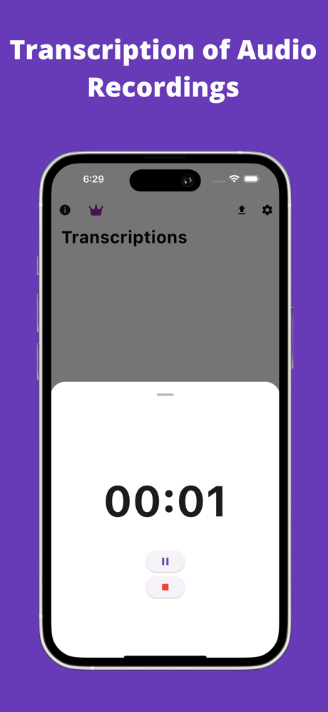Audio Recorder - HiText screenshot 3