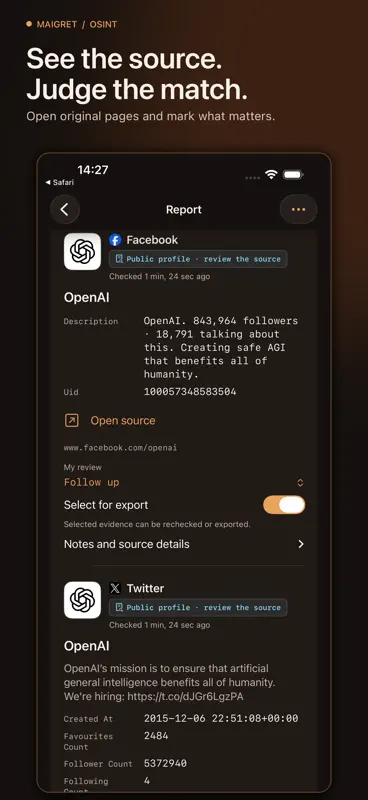 Maigret: OSINT Username Finder screenshot 2 of 6