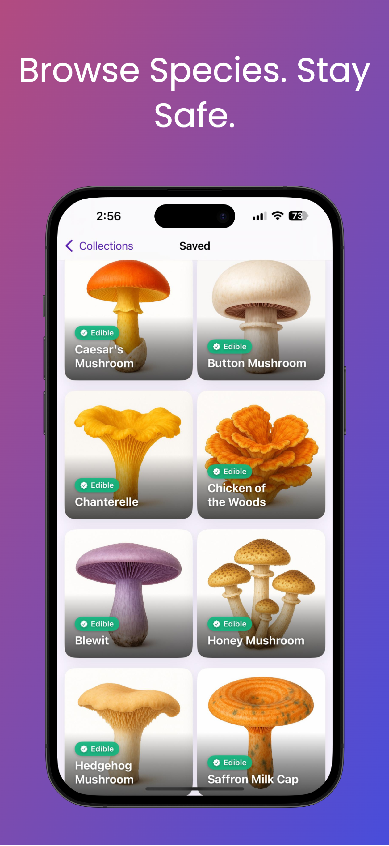 Mushroom ID : Myco Forager screenshot 3
