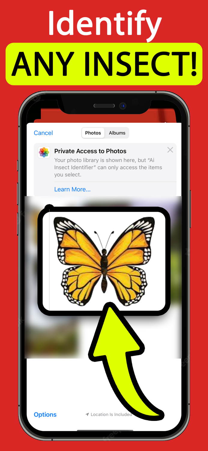 Insect Identifier AI Scanner