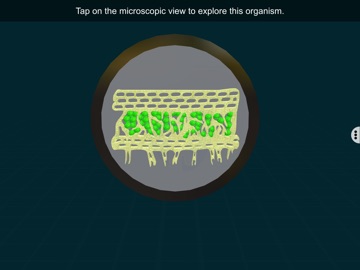 Symbiotic Life - EduTech Era iPad screenshot