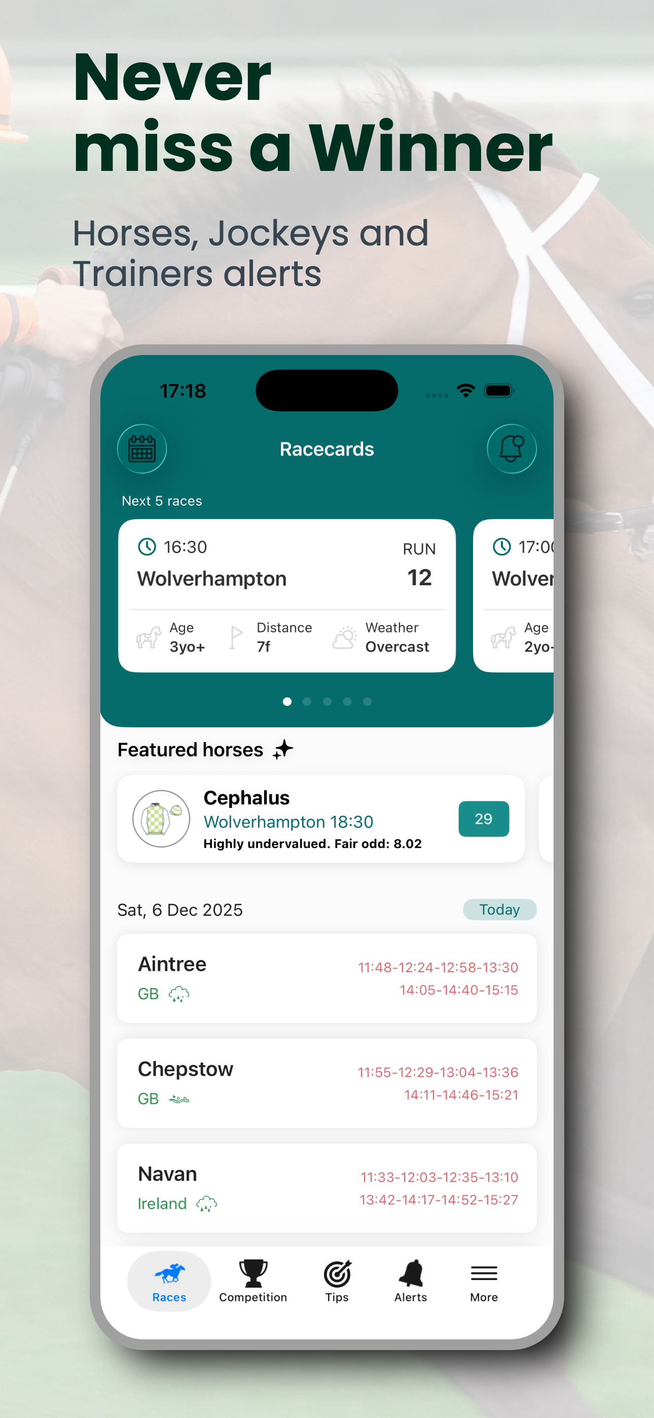Horse Racing Tracker - Winner