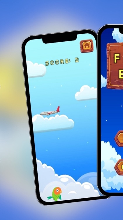 Сhumba - Flight a Bird