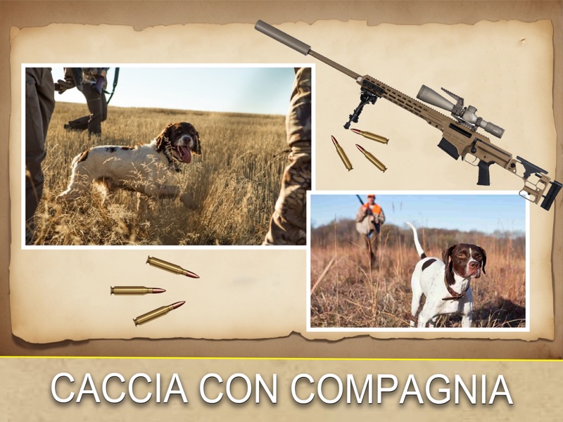 Juego de caza de aves 2026 screenshot 12
