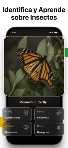 Lens AI: Identify Anything iPhone screenshot 5
