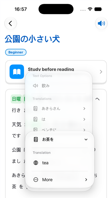 Onigiri - Japanese Learning Screenshot 4 of 9
