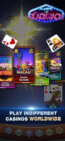 Blackjack 21 offline card game iPhone screenshot