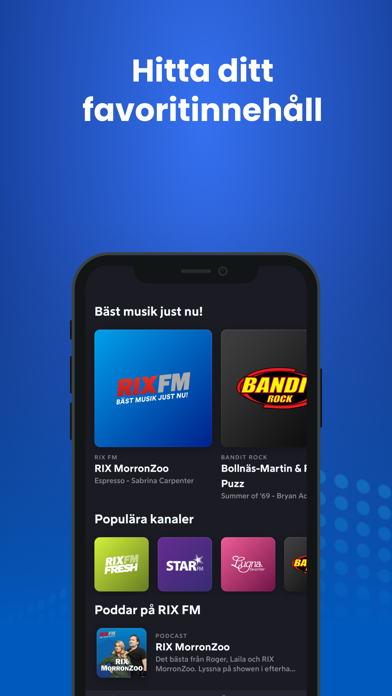 RIX FM Screenshot